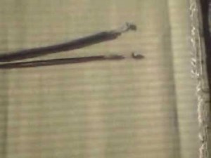 堀越畳店 ホンダ管理機FF３００H アクセルワイヤー固着、交換