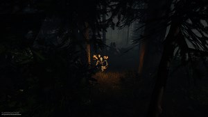 Terror y belleza en el bosque de The Forest