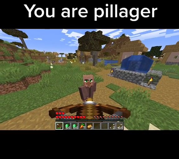 minecraftpillager on TikTok