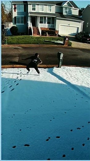 Goose vs Jogger – Dramatic Fail 😂 #wildlife #animalshowdown #epicfail #petfails