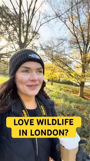 London is WAY more wild than you think 💚