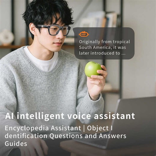 Ai Smart Glasses with Camera Display Translator Real-time Voice Conversation Take Photo Video Music Play Smart Glasses