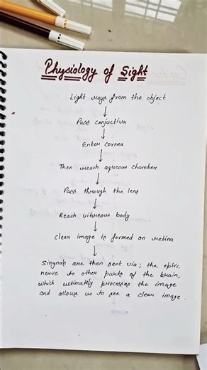Physiology of Sight Flowchart | Easy Nursing Notes | GNM BSc Nursing Shorts #nursingstudent #exam