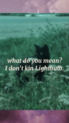 Imma be posting a lot of these- might even make a compilation of them at one point ^^