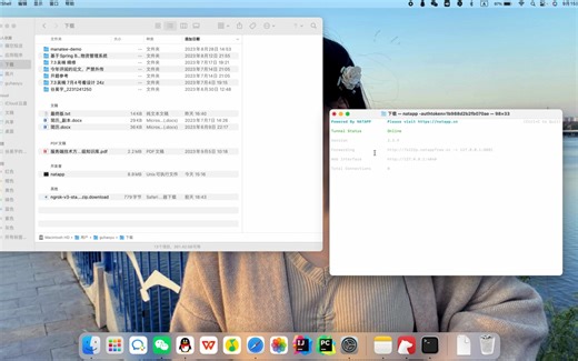 natapp配置内网穿透