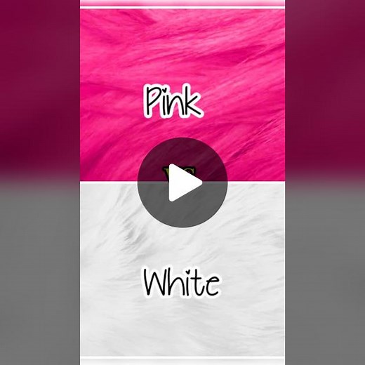 Pink vs White: A Colorful Comparison