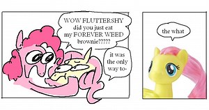 Forever Weed Brownie | Know Your Meme