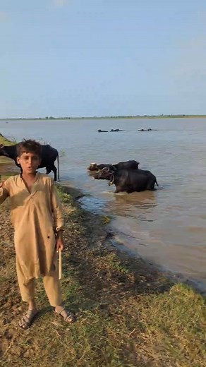 Tahir Sial Sial on Reels