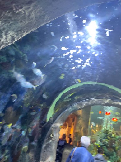 Andrea Parker on Reels