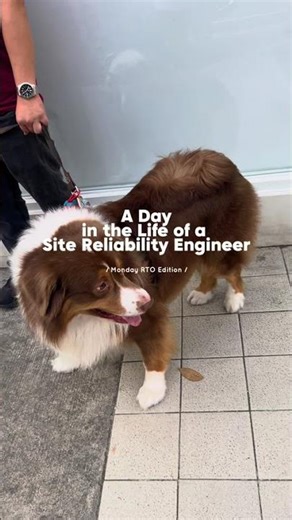 My life as Site Reliability Engineer
