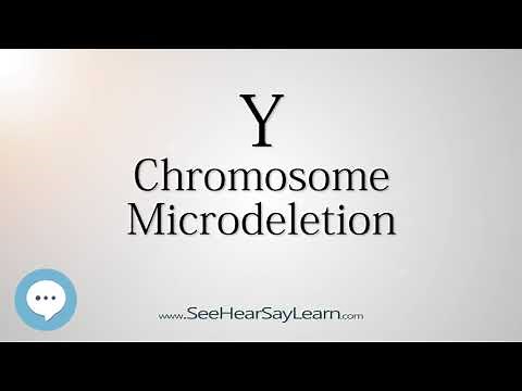 Y Chromosome Microdeletion 🔊