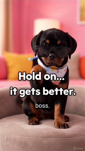 Cutest Rottweiler Puppy Ever? Wait for the Wave! 👋 #shorts #shortviral #pets