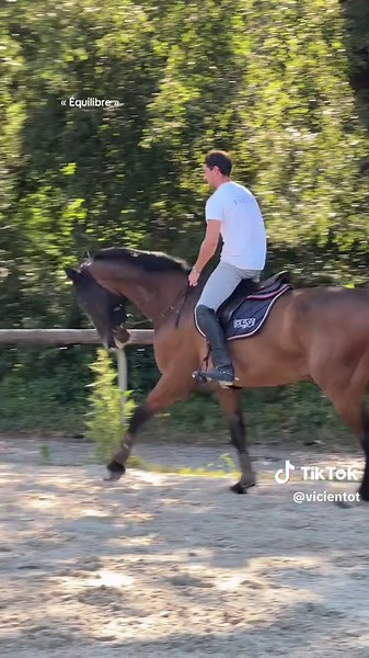 Comment équilibrer le cheval pour une meilleure performance
