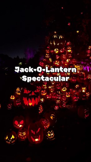 There are thousands of illuminated pumpkins calling your name this Halloween. Welcome to the Jack-O-Lantern Spectacular at the Roger Williams Park Zoo in Providence, Rhode Island. 🎃 #halloween #jackolantern #jackolanternspectacular #pumpkins #halloweeneveryday #rogerwilliamsparkzoo