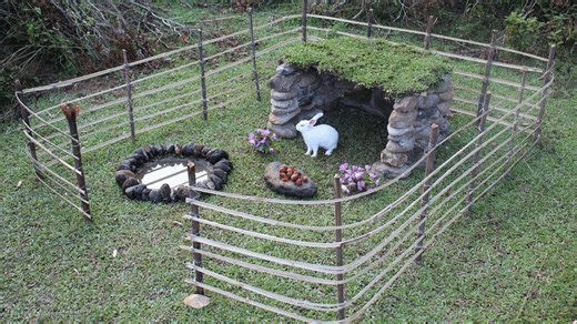 Wild rabbit trap build