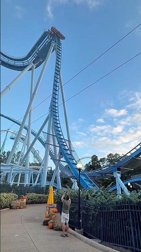 The INSANE 205ft Drop on Griffon | Busch Gardens Williamsburg Dive Coaster 😳 #Griffon #BuschGardens