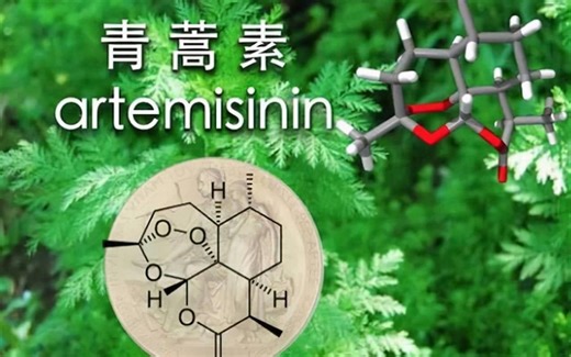 从中药到诺贝尔奖：青蒿素的惊人发现和应用