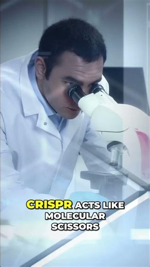 CRISPR: Revolutionizing Plant DNA for Better Yields