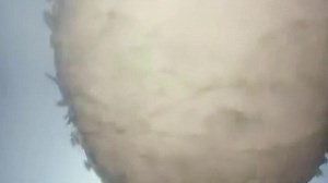 20250125-720x1280-2dB16-GN105324-fzc-wb13-解说向-剧情-秘籍_67add8248b374