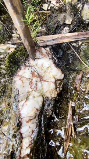 Discover Quarts Super Gold Mining Techniques