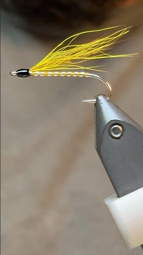 Bucktail streamer! #flytying #fishing #foryou