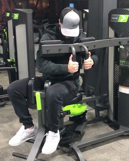 Prime Hybrid Rotary Torso - Overview