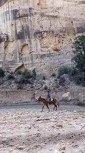 10K views · 519 reactions | A cool clip of Ty & his big Riata mule from a ride at @brycecanyonmuledays!  #brycecanyonmuledays #tsmules #tyevans #mulemanship #mulesofinstagram #trailride | TS MULES - Ty & Skye Evans Mulemanship Clinics | Facebook