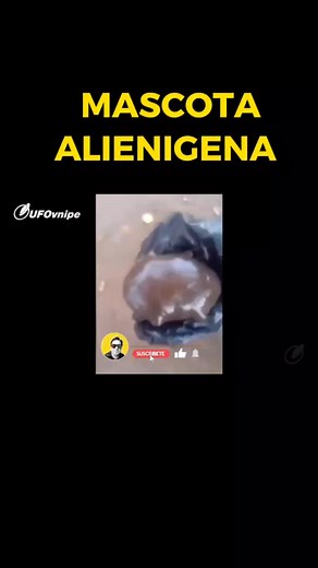 14K views · 508 reactions | para videos completos síguenos y activa la campana #UFO #avistamientos #ovni #aliens alien #Misterio | UFOvnipe | Facebook