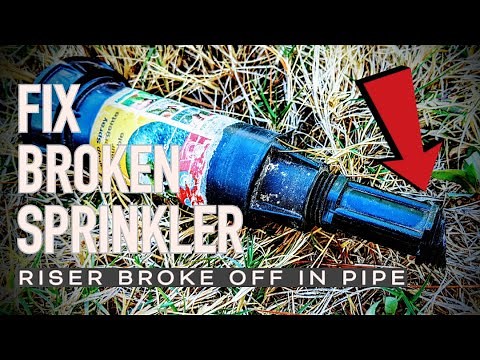 Sprinkler Head Repair | Riser threads broken off in supply pipe | Irrigation Pop Up | EASY DIY FIX