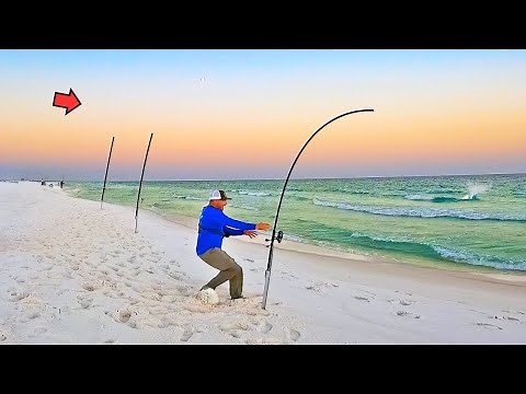 Catching Random Fish for 30 minutes Straight! (Florida Surf Fishing)
