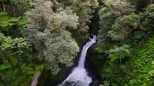 I started thinking about the twisted back wheel about a year ago. I’ve been practicing getting my bow down on the falls, visualizing, and looking at video from every angle. When it came time it was hard to keep calm with the excitement but once at the lip my body took over and I was able to make my dream a reality! @kaelinkayak 🎥==> @ryancarrroll | Jackson Kayak