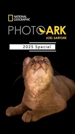 Joel Sartore- Photo Ark on Instagram: "2025 was a standout year for the Photo Ark - here’s to a spectacular 2026! @insidenatgeo #PhotoArk"