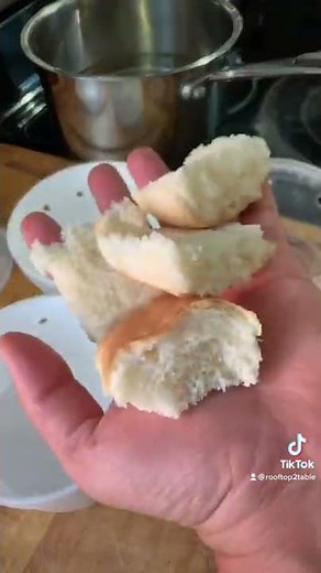 Homemade Ant Traps, pet- and garden-safe