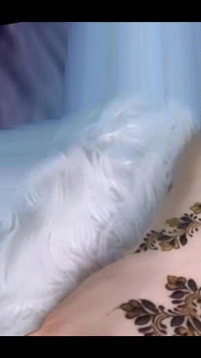 Unique mehandi design #viralvideotiktok #simpelmehandidesign🥰😍 #💫💫💫💫💫🙃🙃🙃🙃🙃🥰🥰🥰😊😊😊😊 #newmehandidesign😍😍 #beautifulmehandidesign #🥰😍😍😍😍😍💖💕💖💖💕 #2024newmehandidesign❣️❣️ #fypシforyoupageシtiktok