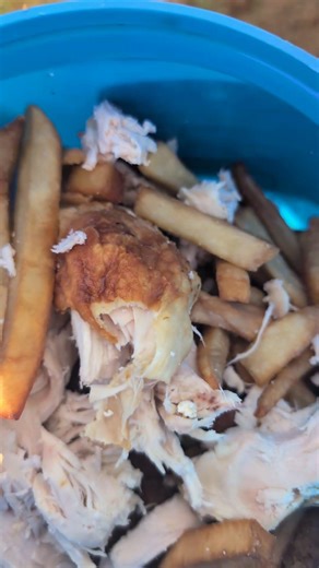 rotisserie chicken fries buzz