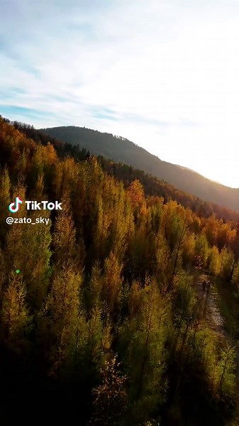 Capturing Serenity in Polish Forests with DJI Mini 4 Pro