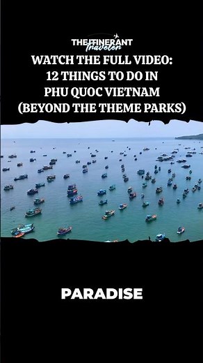 The Best Thing to do in Phu Quoc: Scientific Snorkeling! 🌊