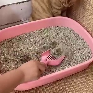 Cat Litter Liners, 10PCS Reusable Sifting Litter Box Liners, Cat Litter Box Liners Pet Cat Excrement Liners Elastic Cat Sand Bag Filter, Strong Pet Lifter Sifter Bag Cat Litter Liners S Size