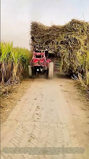 Load Management 101: When Less is More in Farm Transport