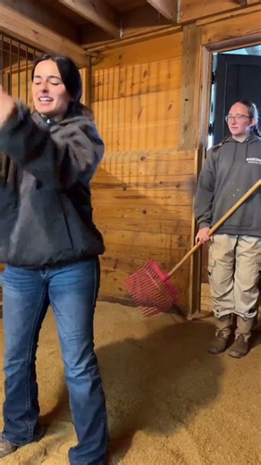 When your stall cleaning thoughts catch up to you… • • #hiddenhillsequestrian #fyp #hhe