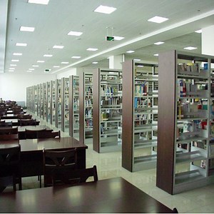 [Hot Item] Commercial Bookshelves MDF Frame Iron Library Bookshelf