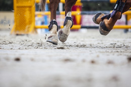 Ask the Rock: What is the Best Sand for My Horse Arena?