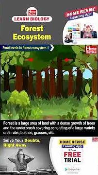 Forest Ecosystem | Learn Biology with Home Revise
