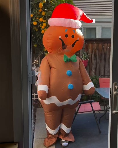 11K views · 121 reactions | These inflatable costumes really take best dressed 練藍 | Lessons Learned In Life | Facebook