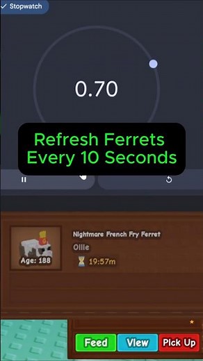 This pet combo breaks the age 500 leveling system #roblox #growagarden #shorts