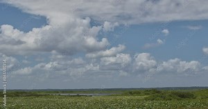 Landscape showing vast prairie ecosystem in Central Florida from Route 441. Paynes Prairie Preserve.