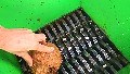 669K views · 13 reactions | Coconut into Shredder Machine !  Will it be shredded ? 樂 | Infernal Shredder | Facebook