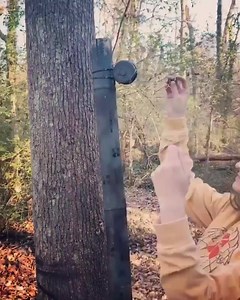 19K views · 232 reactions | "Cache and Release” (GC8HG04) is a...