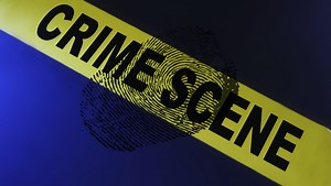 Parking regulation signs stolen in Ossining: Cops