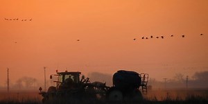 Tariff trouble? Nebraska companies, farmers trapped in middle of brewing trade war